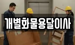 개별화물용달이사