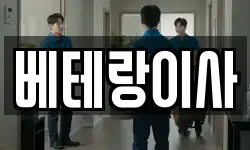 베테랑이사