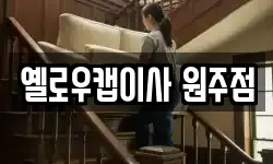 옐로우캡이사 원주점