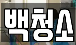 백청소
