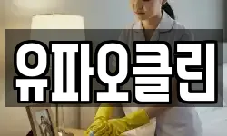 유파오클린