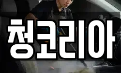청코리아