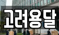 고려용달
