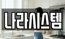 나라시스템