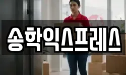 송학익스프레스