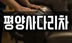 평양사다리차