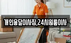 개인용달이사짐,24시원룸이사