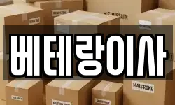 베테랑이사