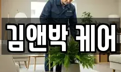 김앤박 케어