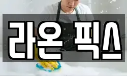 라온 픽스