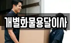 개별화물용달이사