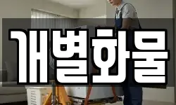 개별화물