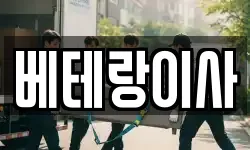 베테랑이사