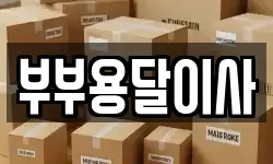 부부용달이사