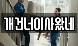 개건너이사왔네