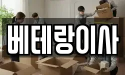 베테랑이사