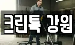 크린톡 강원