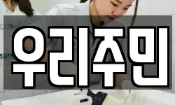 강원특별자치도 정선군 사북읍 청소,입주청소,사무실청소,에어컨청소