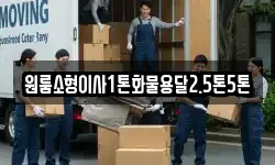 강원특별자치도 정선군 신동읍 이사,용달이사,포장이사,원룸이사,보관이사