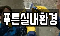 푸른실내환경