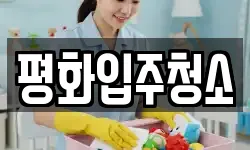 평화입주청소