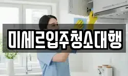 미세르입주청소대행