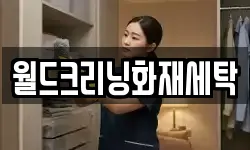 월드크리닝화재세탁