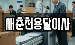 새춘천용달이사
