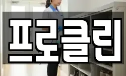 프로클린