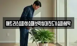 매트리스소파청소패브릭침대진드기쇼파세탁