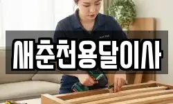 새춘천용달이사