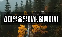 스마일용달이사,원룸이사