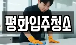 평화입주청소