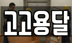 고고용달