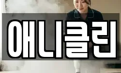 애니클린