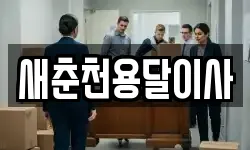 새춘천용달이사