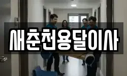 새춘천용달이사
