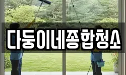 다둥이네종합청소