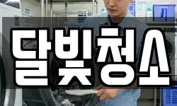 달빛청소