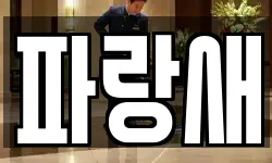 파랑새