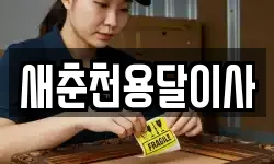 새춘천용달이사