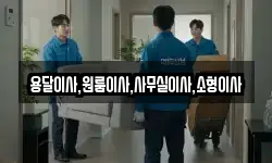 용달이사,원룸이사,사무실이사,소형이사