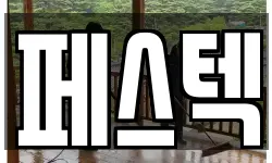 페스텍