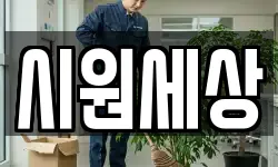 시원세상