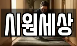 시원세상