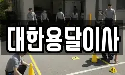 대한용달이사
