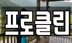 프로클린