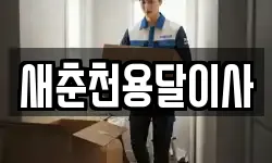 새춘천용달이사