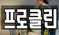프로클린