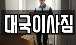 대국이사짐